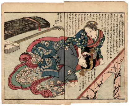 SPECCHIO DELLA VAGINA: ESAMI DI UNA GIOVANE CONCUBINA (Utagawa Toyokuni)